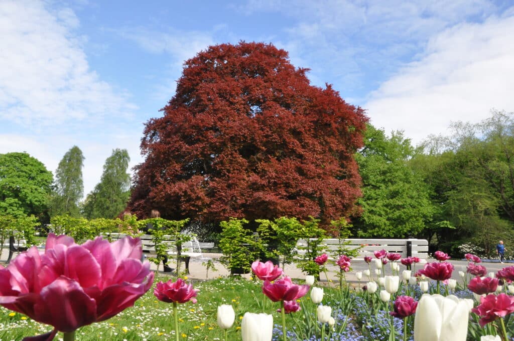 Kurpark_Frühling_©-Lüneburg Marketing GmbH Mathias Schneider